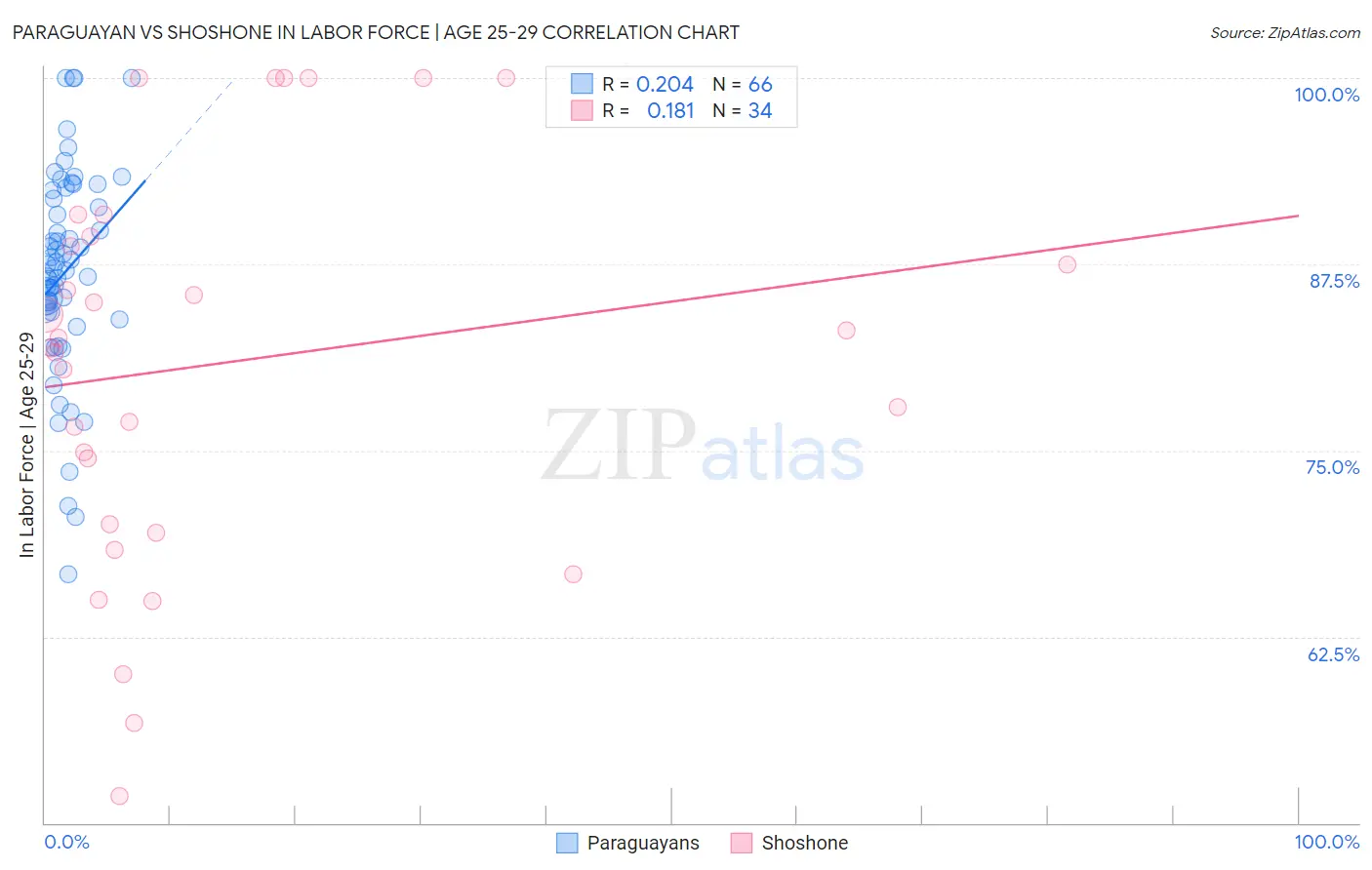 Paraguayan vs Shoshone In Labor Force | Age 25-29