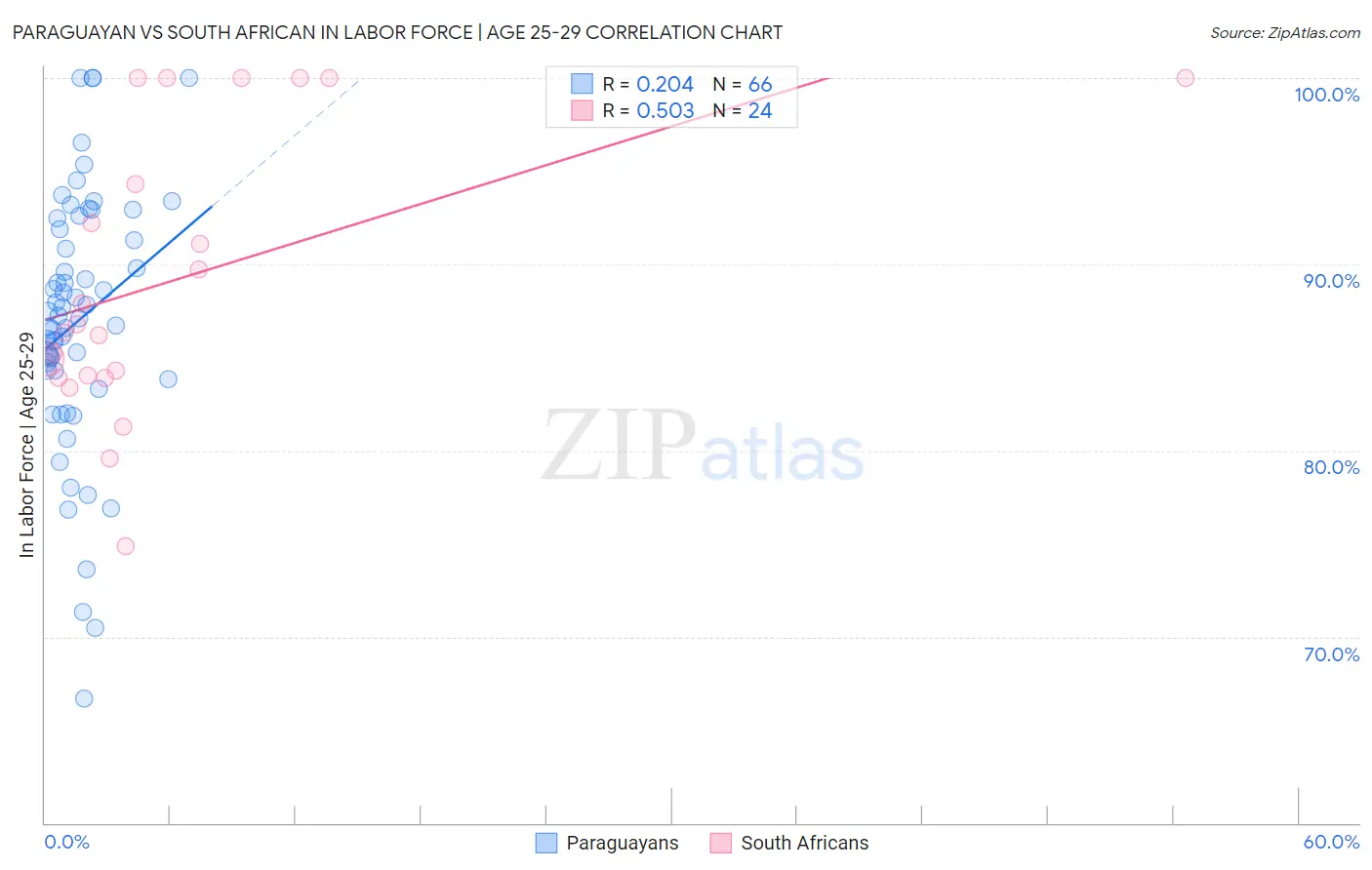 Paraguayan vs South African In Labor Force | Age 25-29