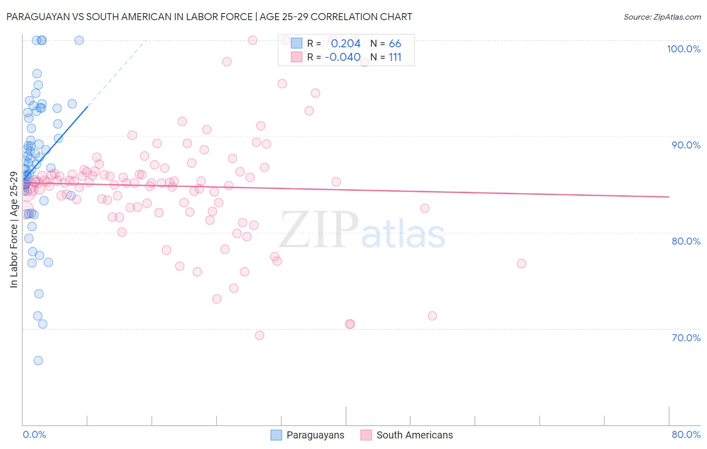 Paraguayan vs South American In Labor Force | Age 25-29