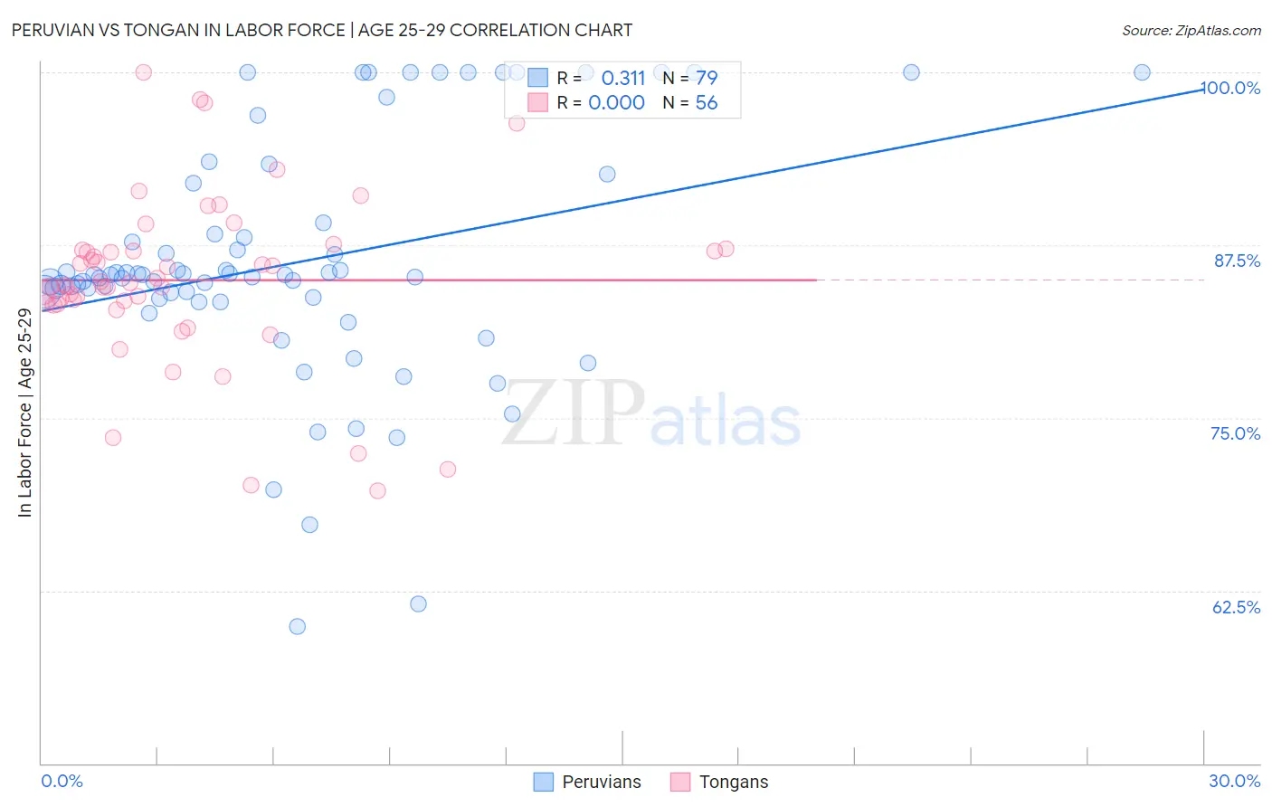 Peruvian vs Tongan In Labor Force | Age 25-29