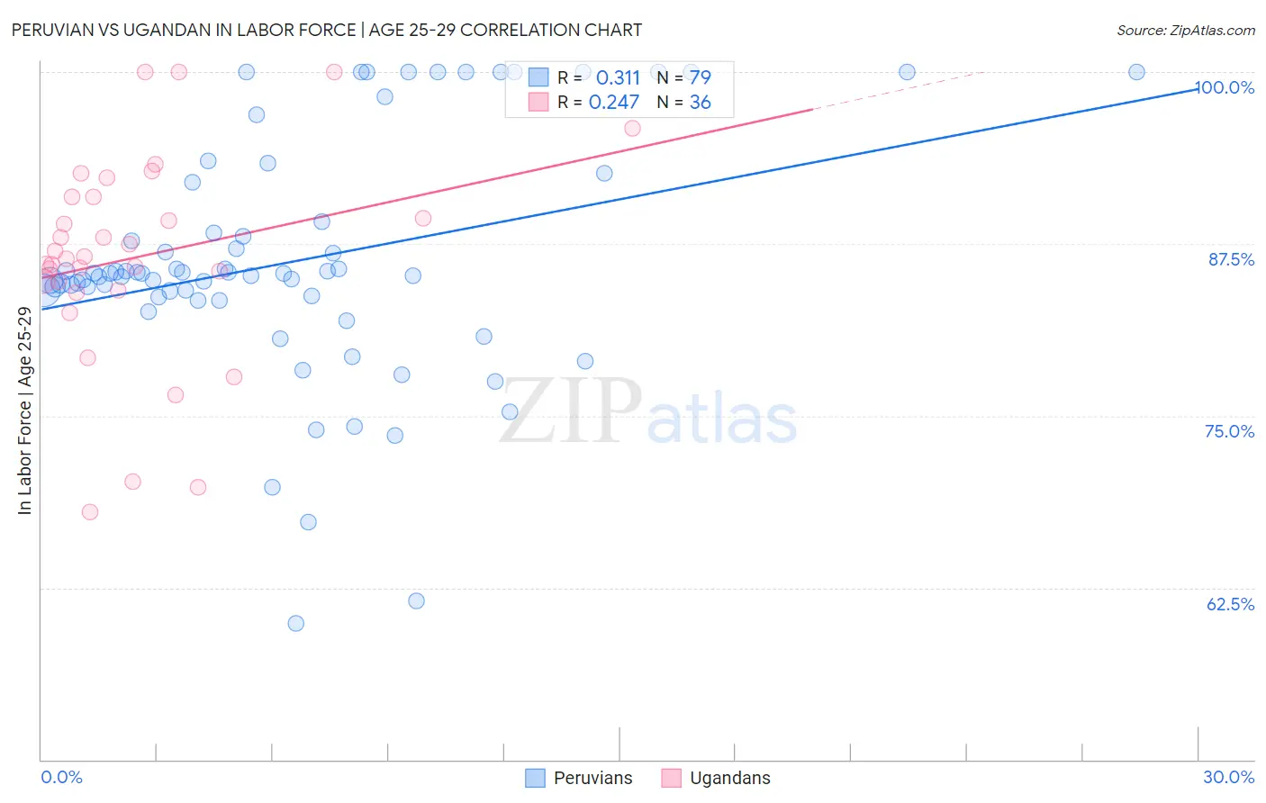 Peruvian vs Ugandan In Labor Force | Age 25-29