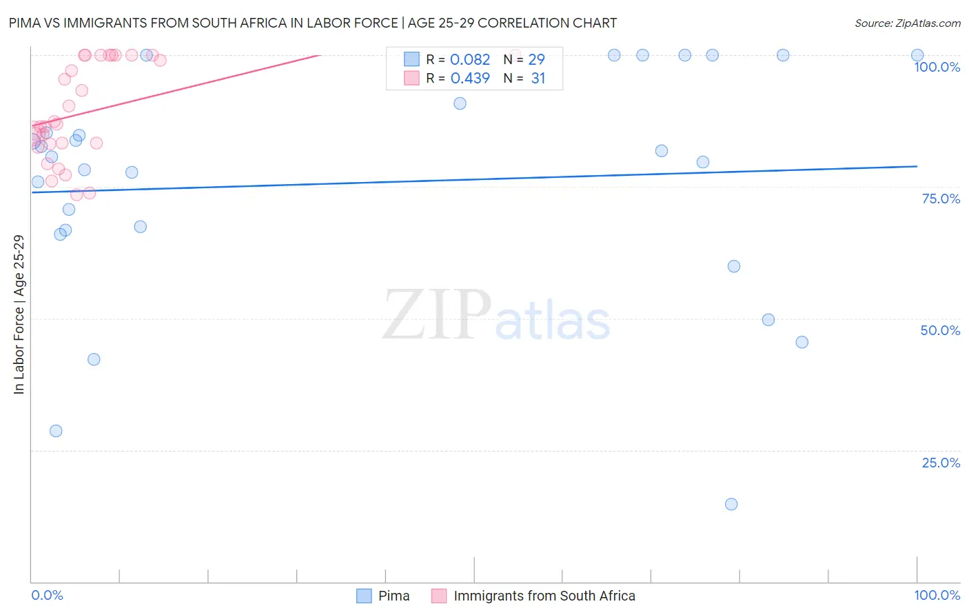 Pima vs Immigrants from South Africa In Labor Force | Age 25-29