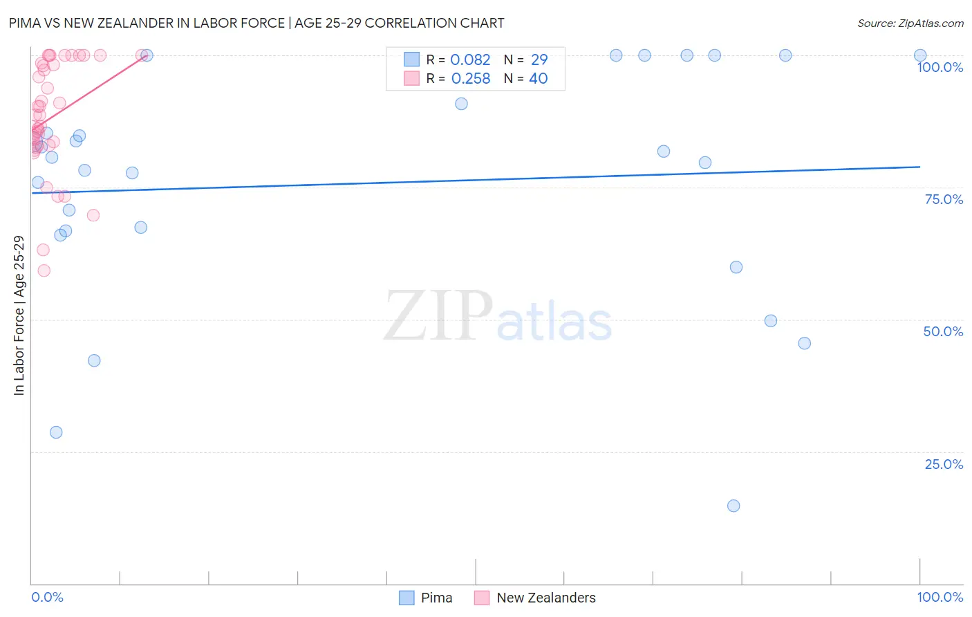 Pima vs New Zealander In Labor Force | Age 25-29
