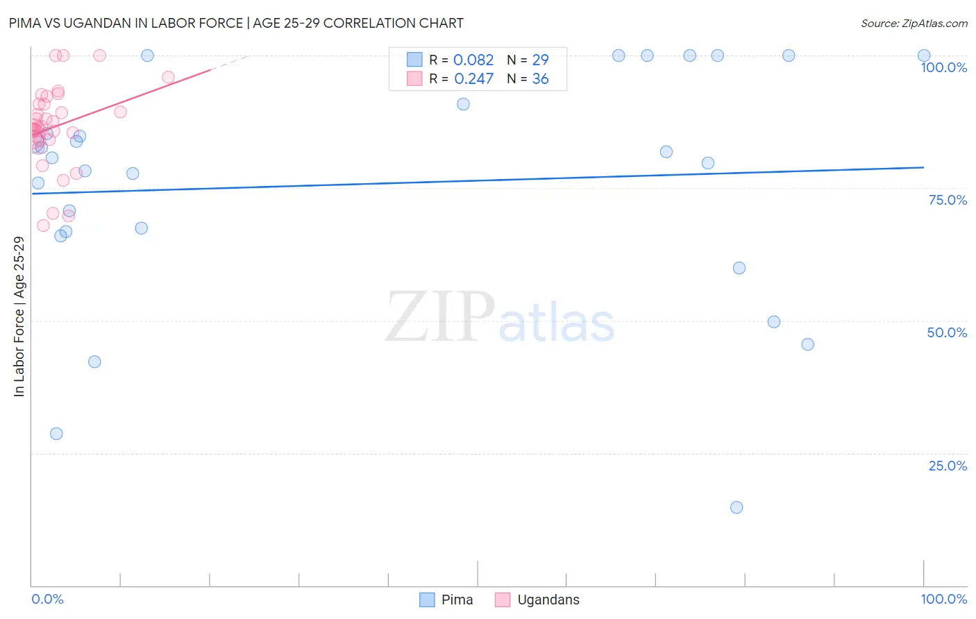 Pima vs Ugandan In Labor Force | Age 25-29