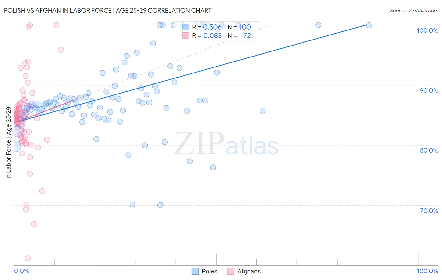 Polish vs Afghan In Labor Force | Age 25-29