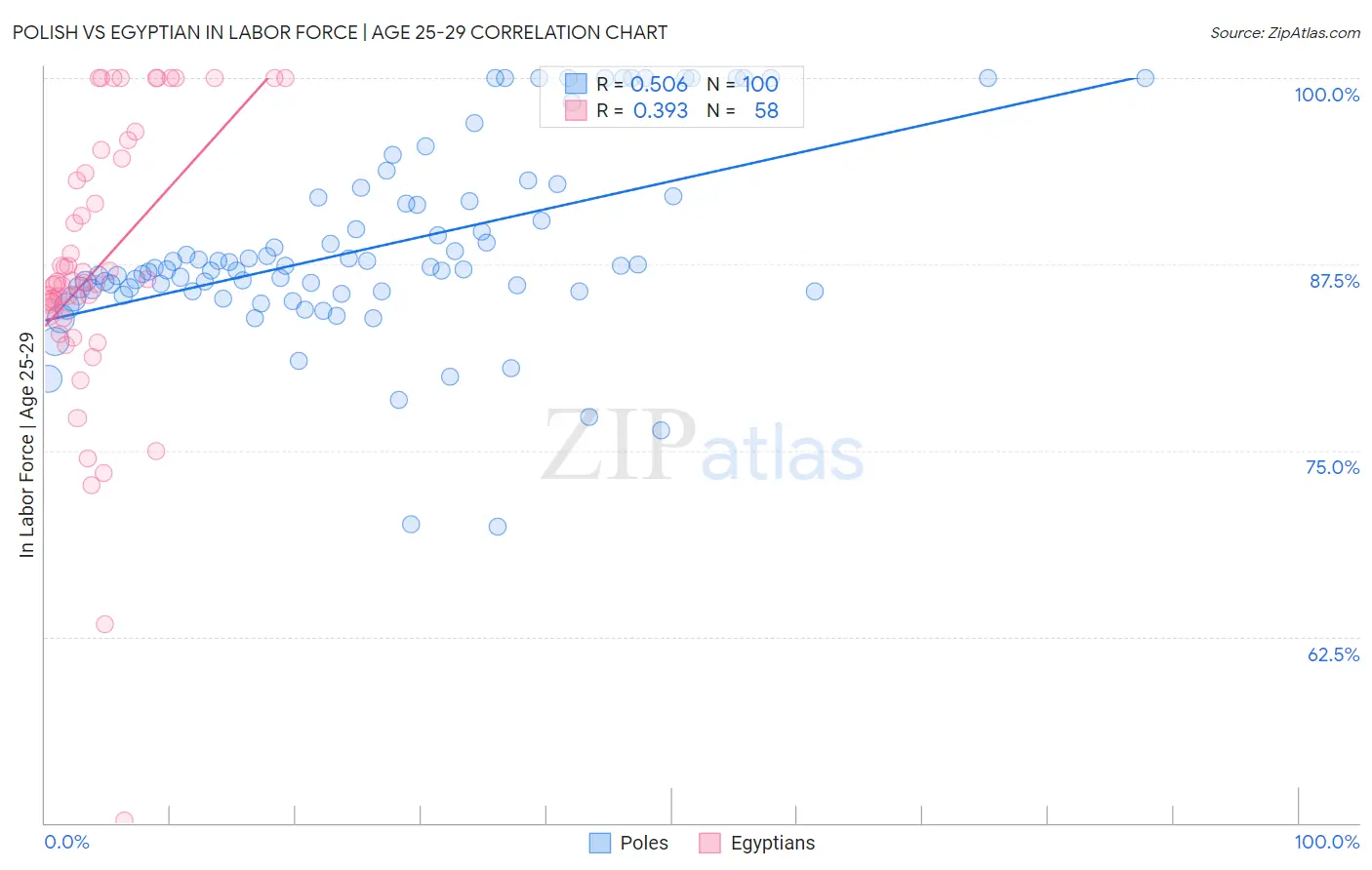 Polish vs Egyptian In Labor Force | Age 25-29