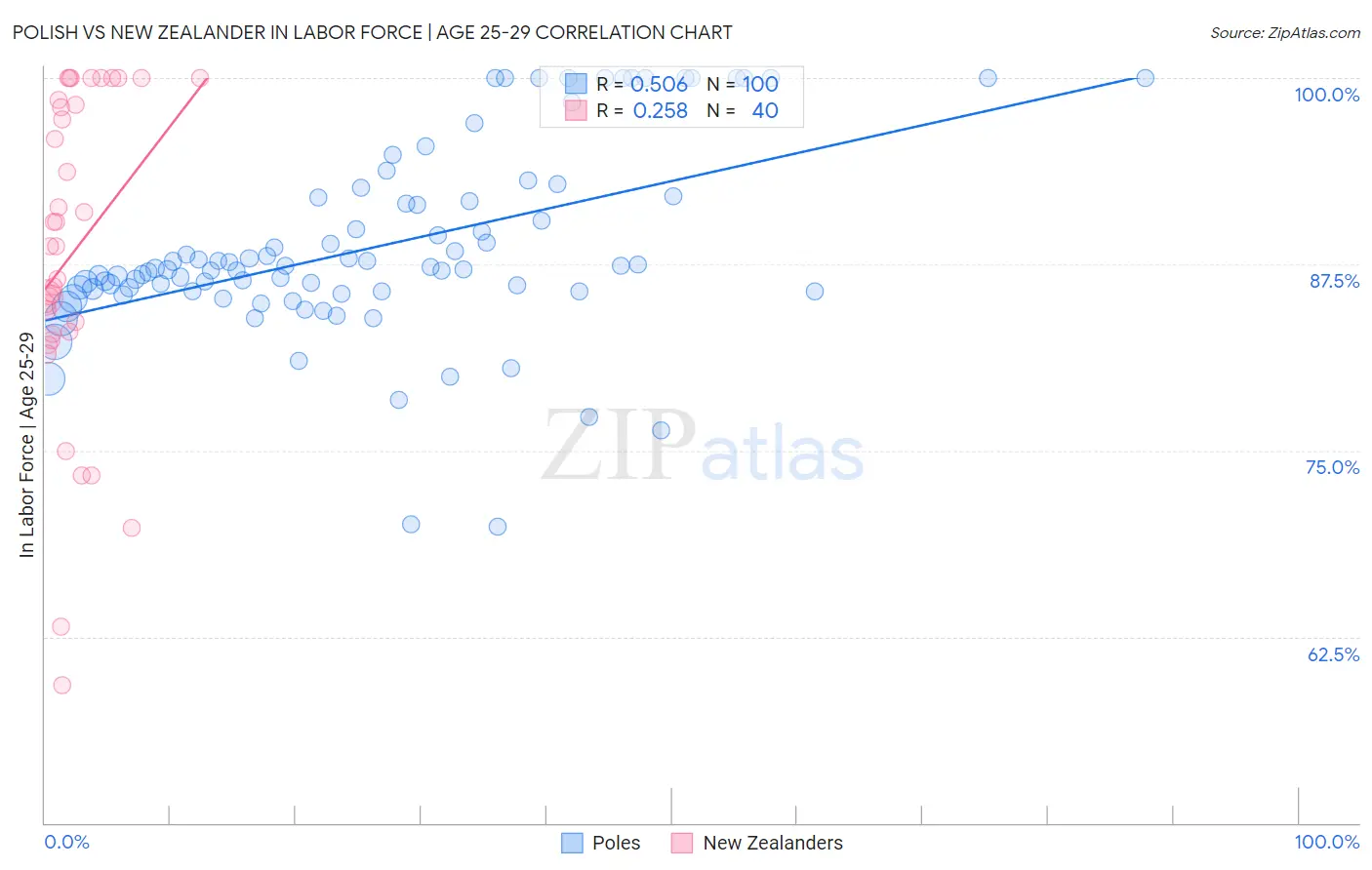 Polish vs New Zealander In Labor Force | Age 25-29