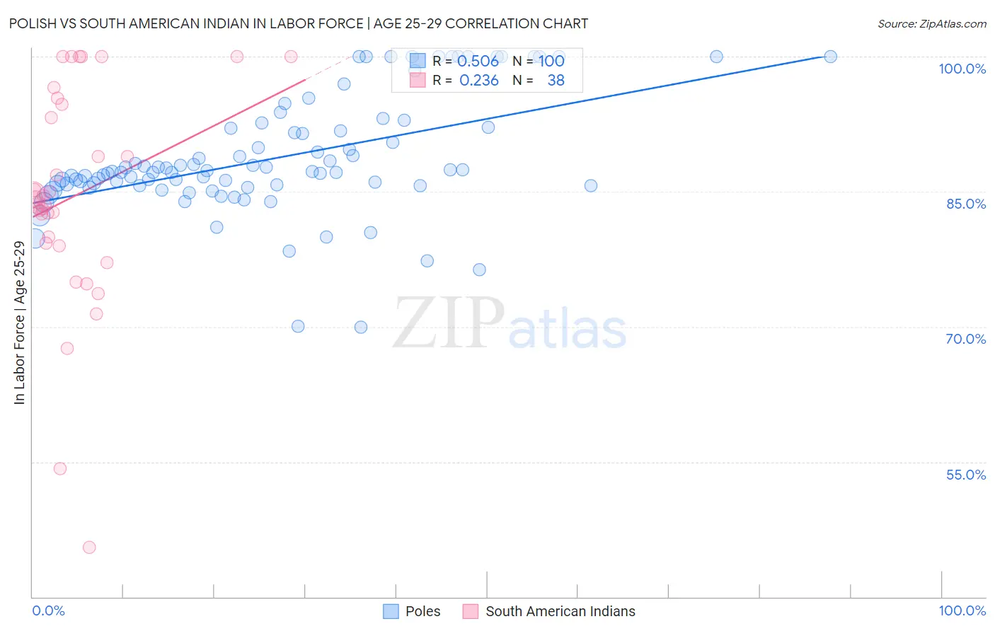 Polish vs South American Indian In Labor Force | Age 25-29