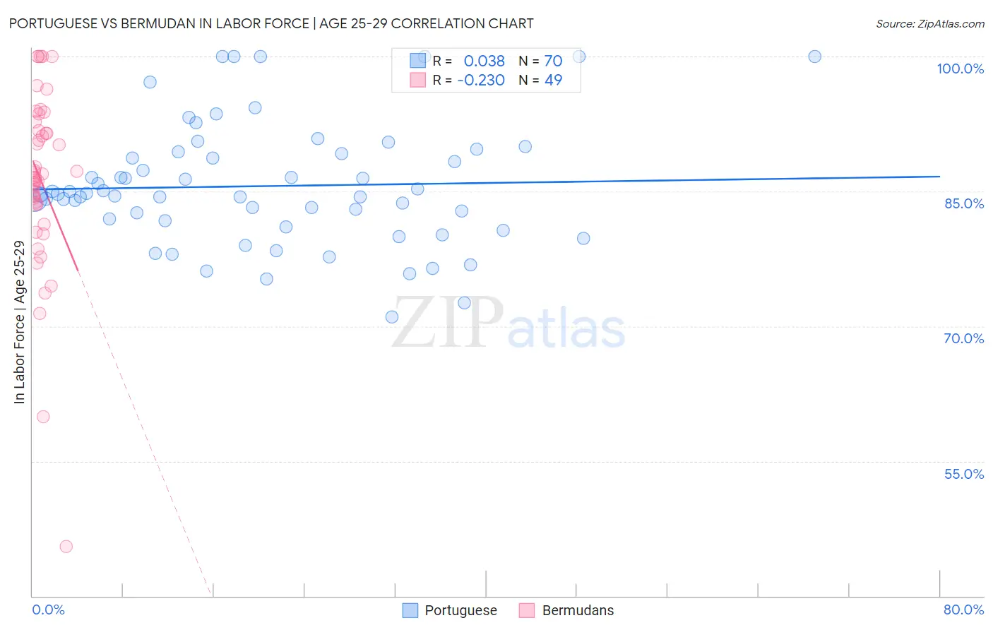 Portuguese vs Bermudan In Labor Force | Age 25-29