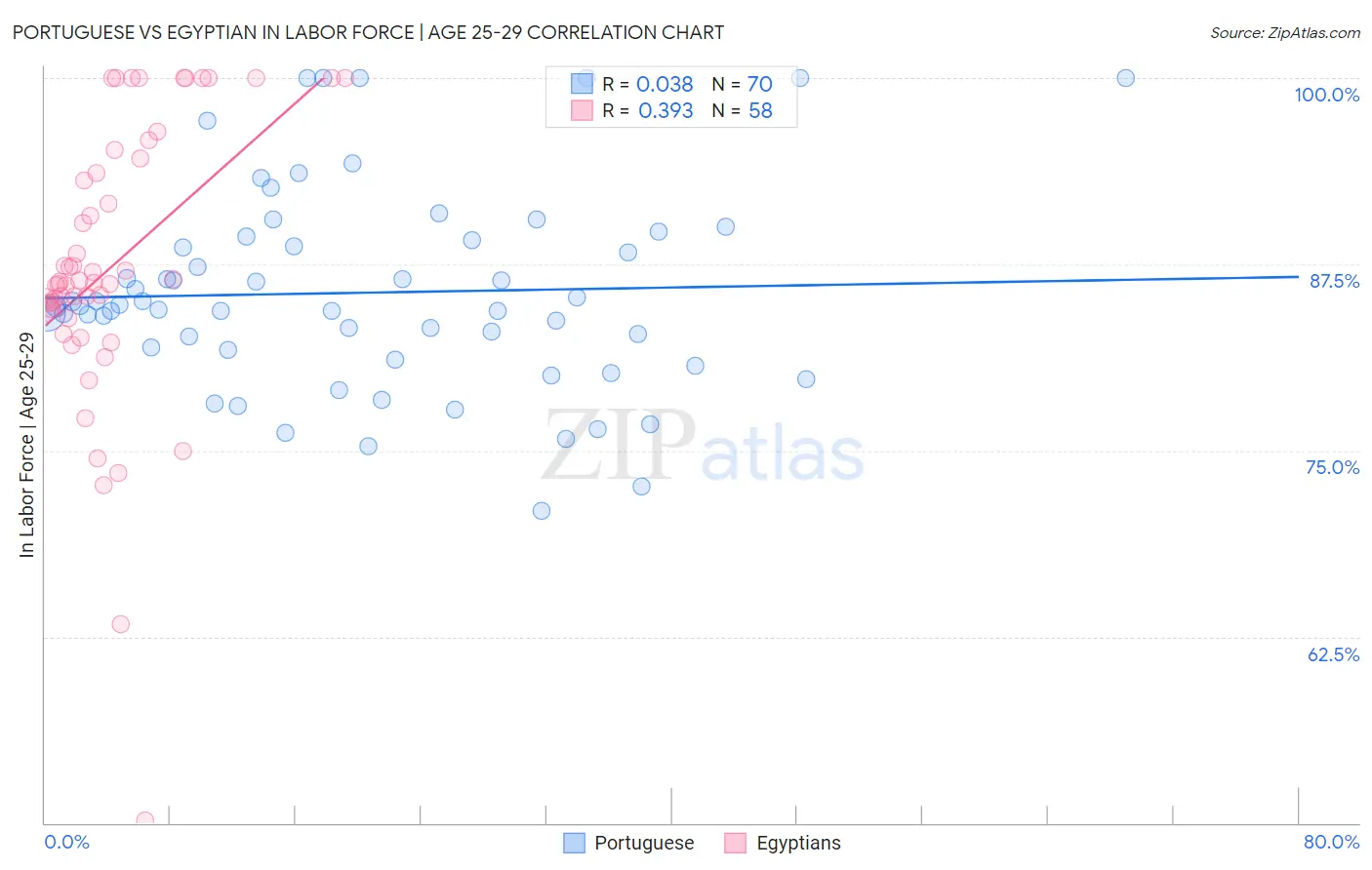 Portuguese vs Egyptian In Labor Force | Age 25-29