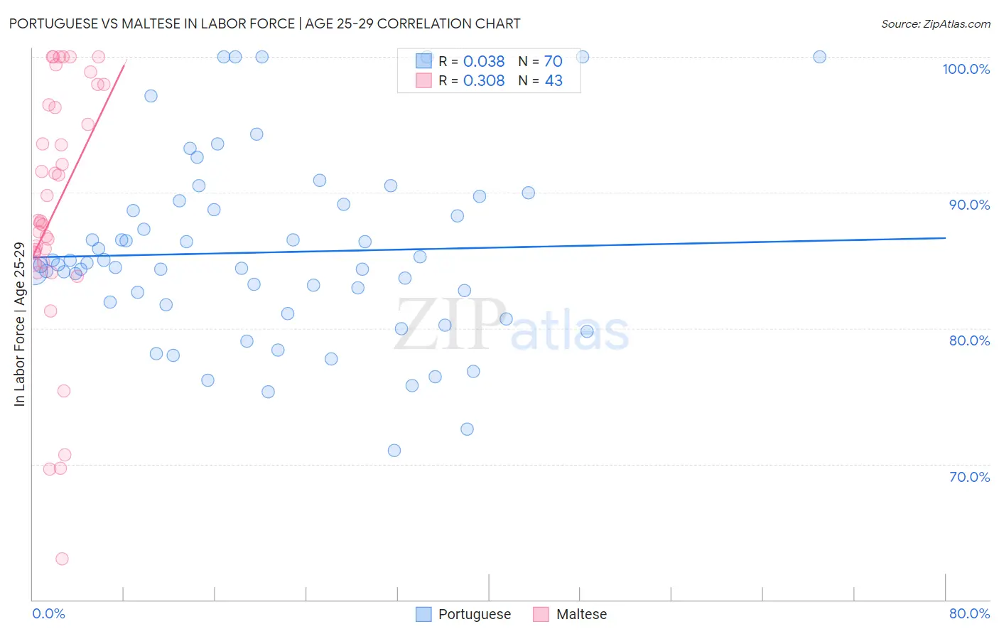 Portuguese vs Maltese In Labor Force | Age 25-29