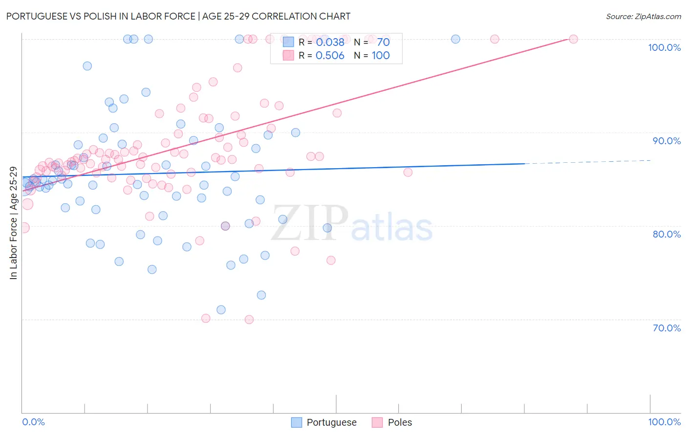 Portuguese vs Polish In Labor Force | Age 25-29