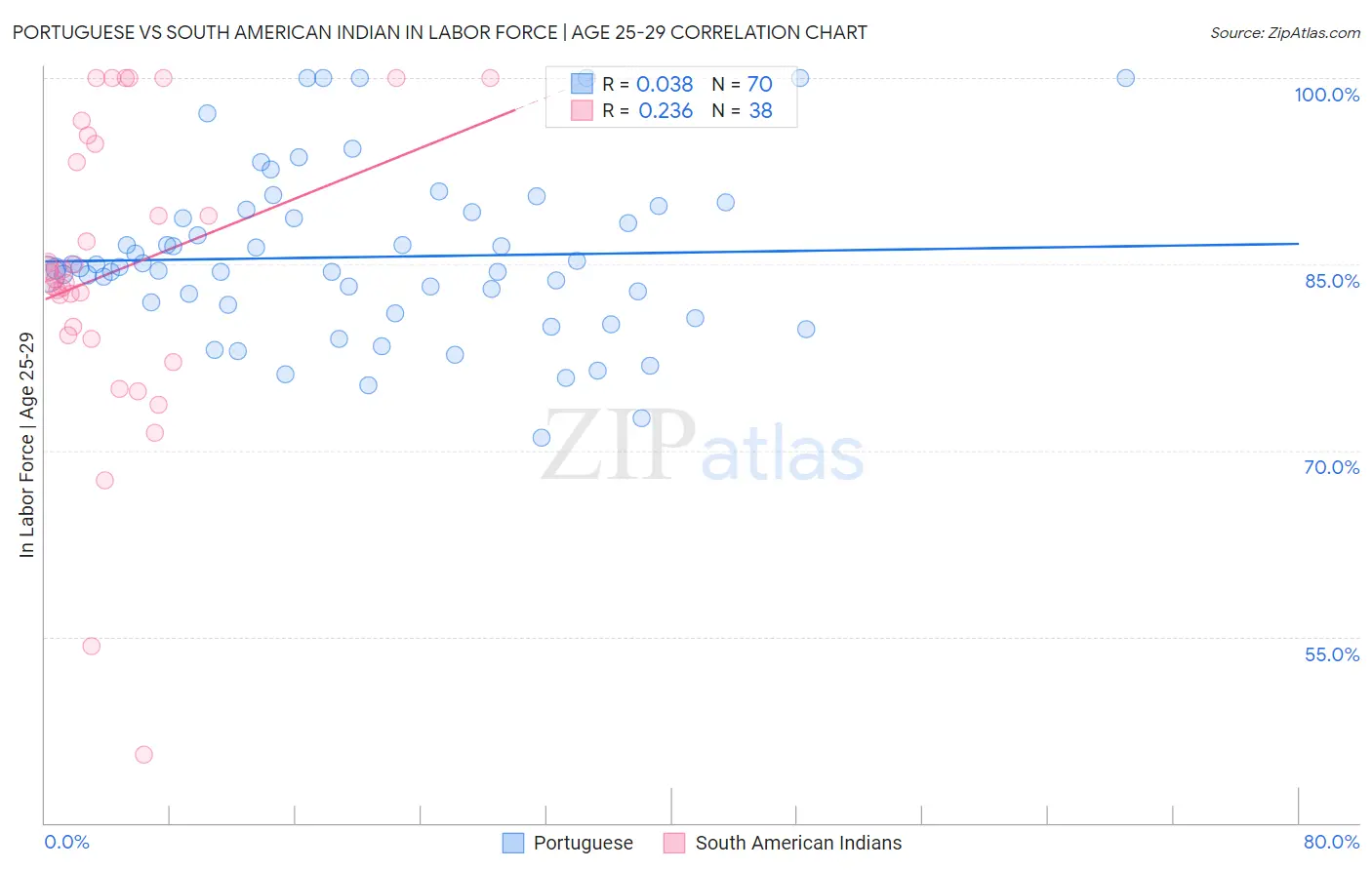 Portuguese vs South American Indian In Labor Force | Age 25-29