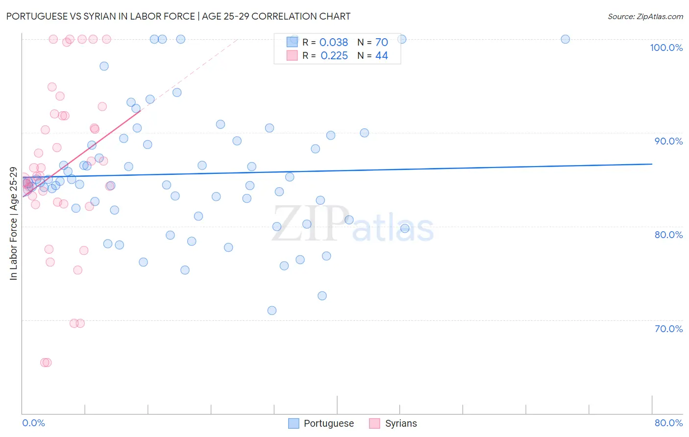 Portuguese vs Syrian In Labor Force | Age 25-29