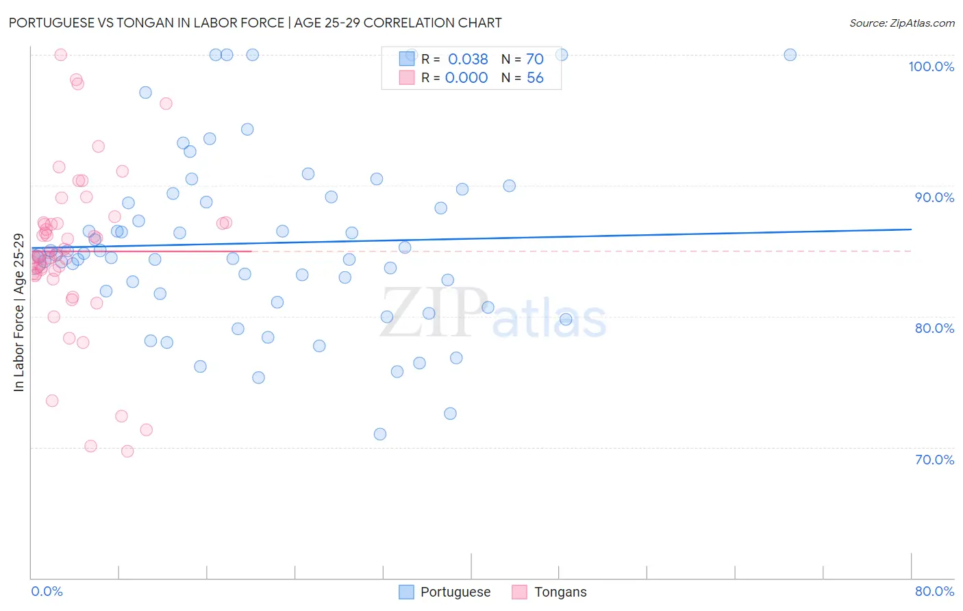 Portuguese vs Tongan In Labor Force | Age 25-29
