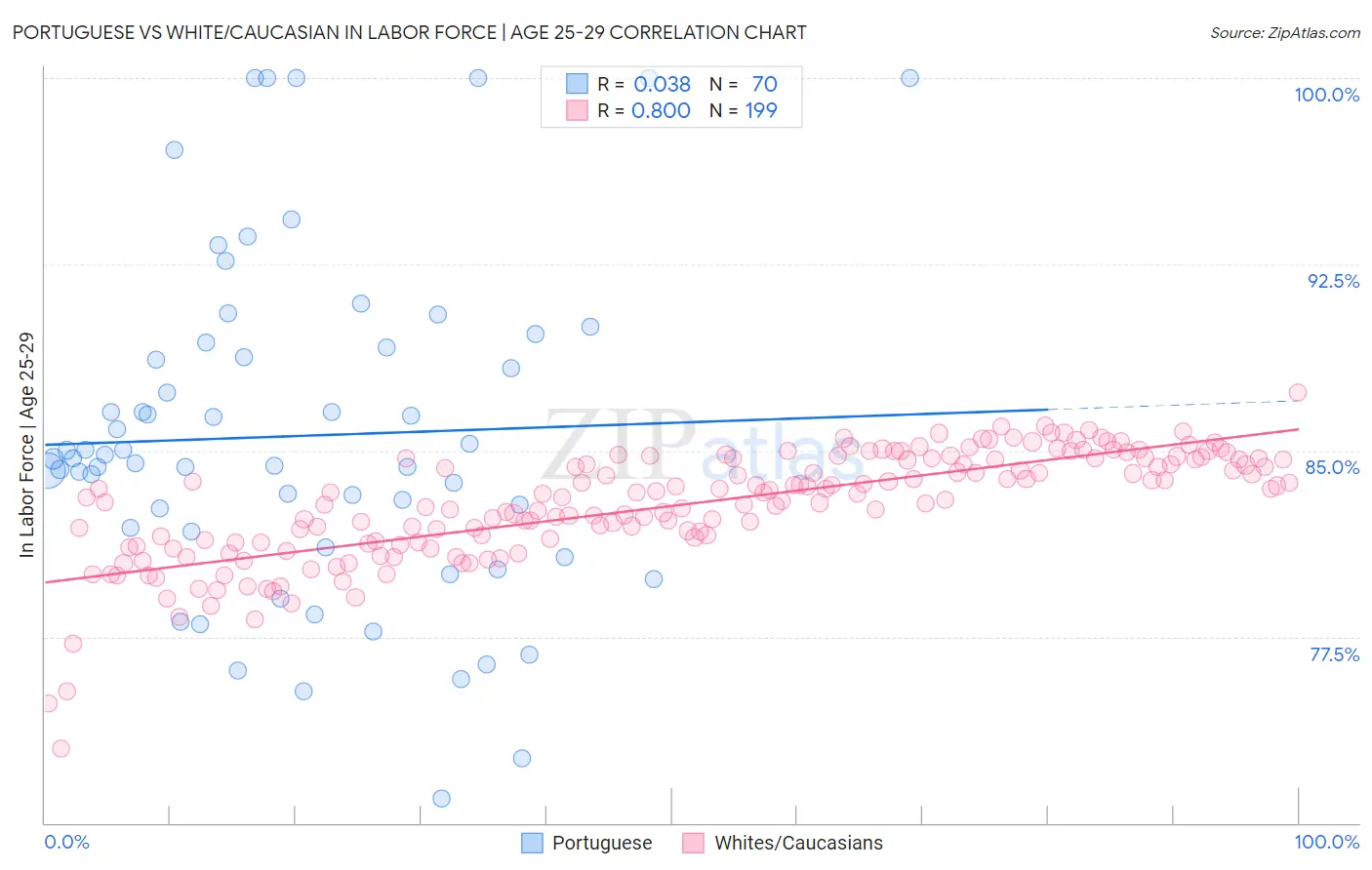 Portuguese vs White/Caucasian In Labor Force | Age 25-29