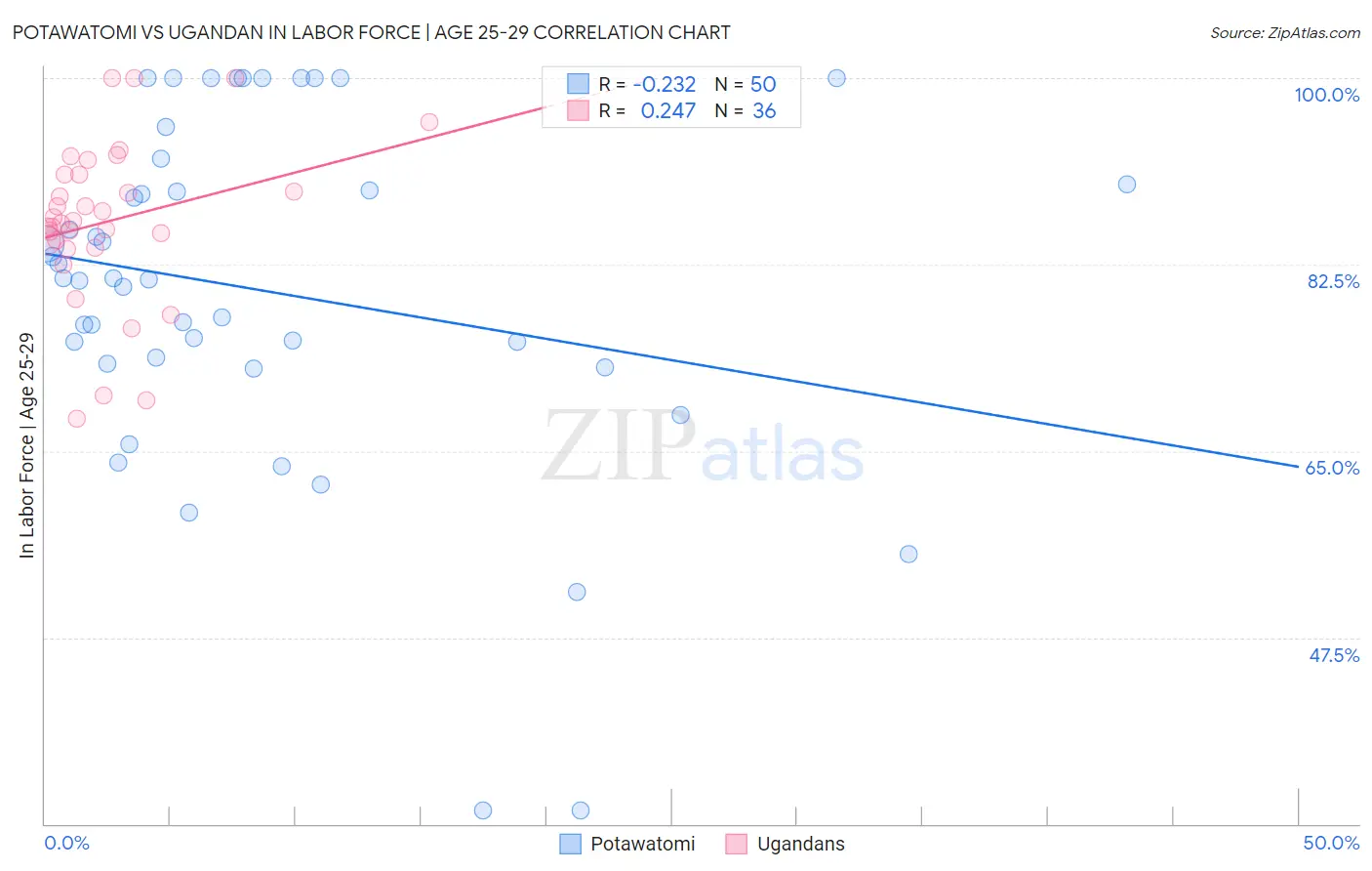 Potawatomi vs Ugandan In Labor Force | Age 25-29