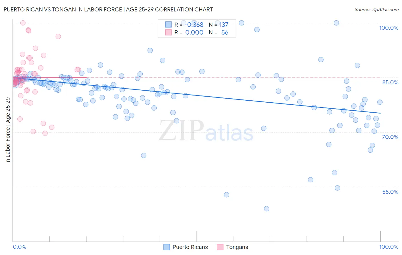 Puerto Rican vs Tongan In Labor Force | Age 25-29