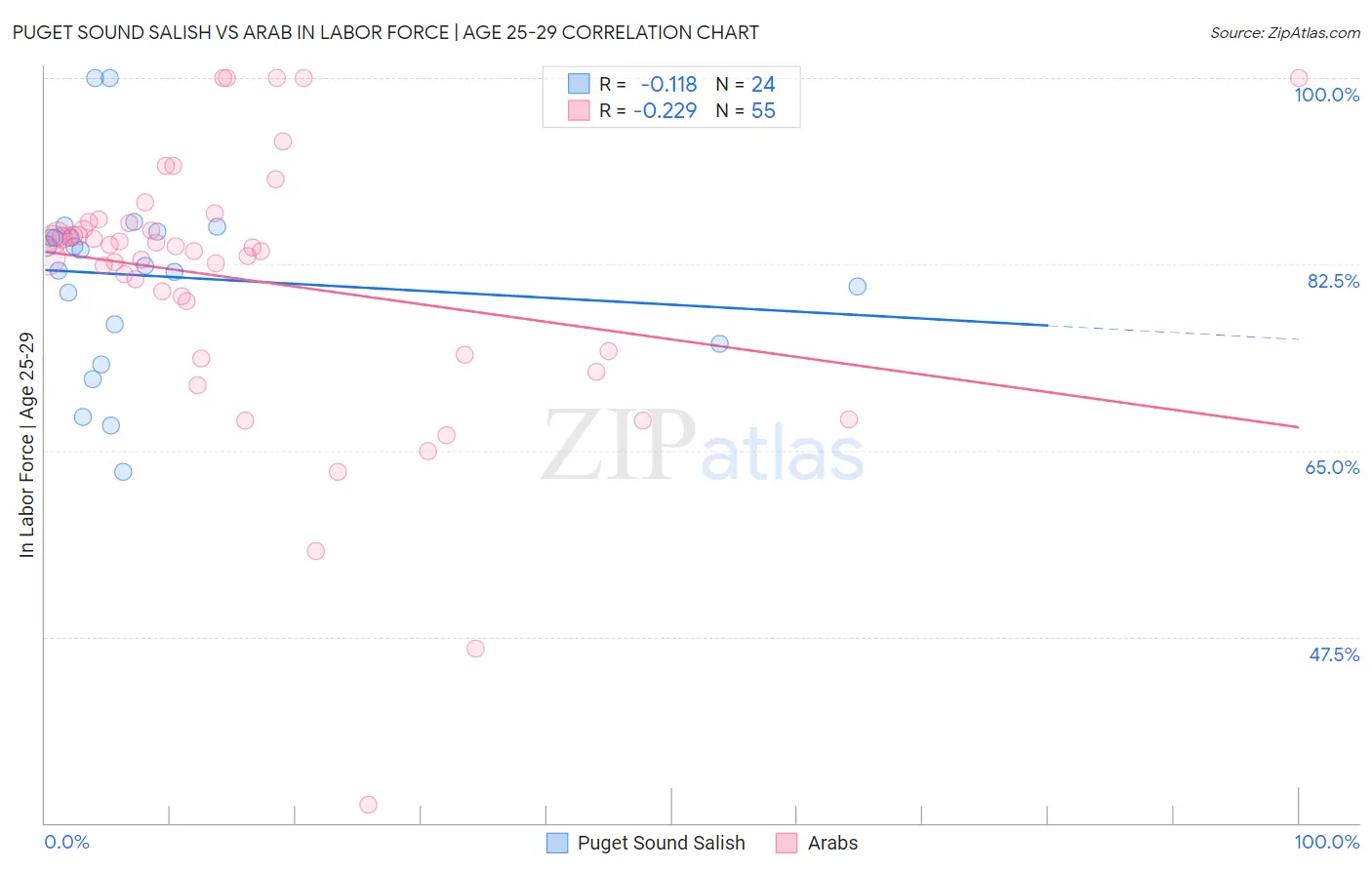 Puget Sound Salish vs Arab In Labor Force | Age 25-29