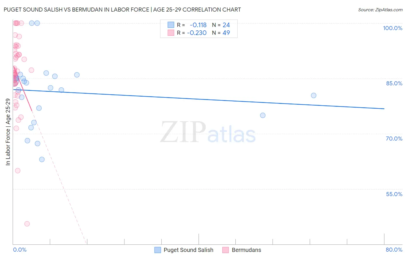 Puget Sound Salish vs Bermudan In Labor Force | Age 25-29