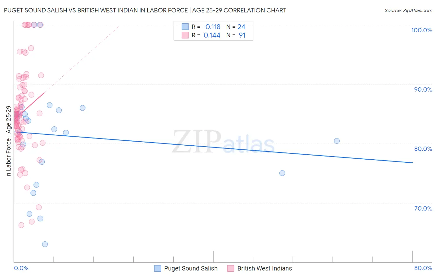 Puget Sound Salish vs British West Indian In Labor Force | Age 25-29