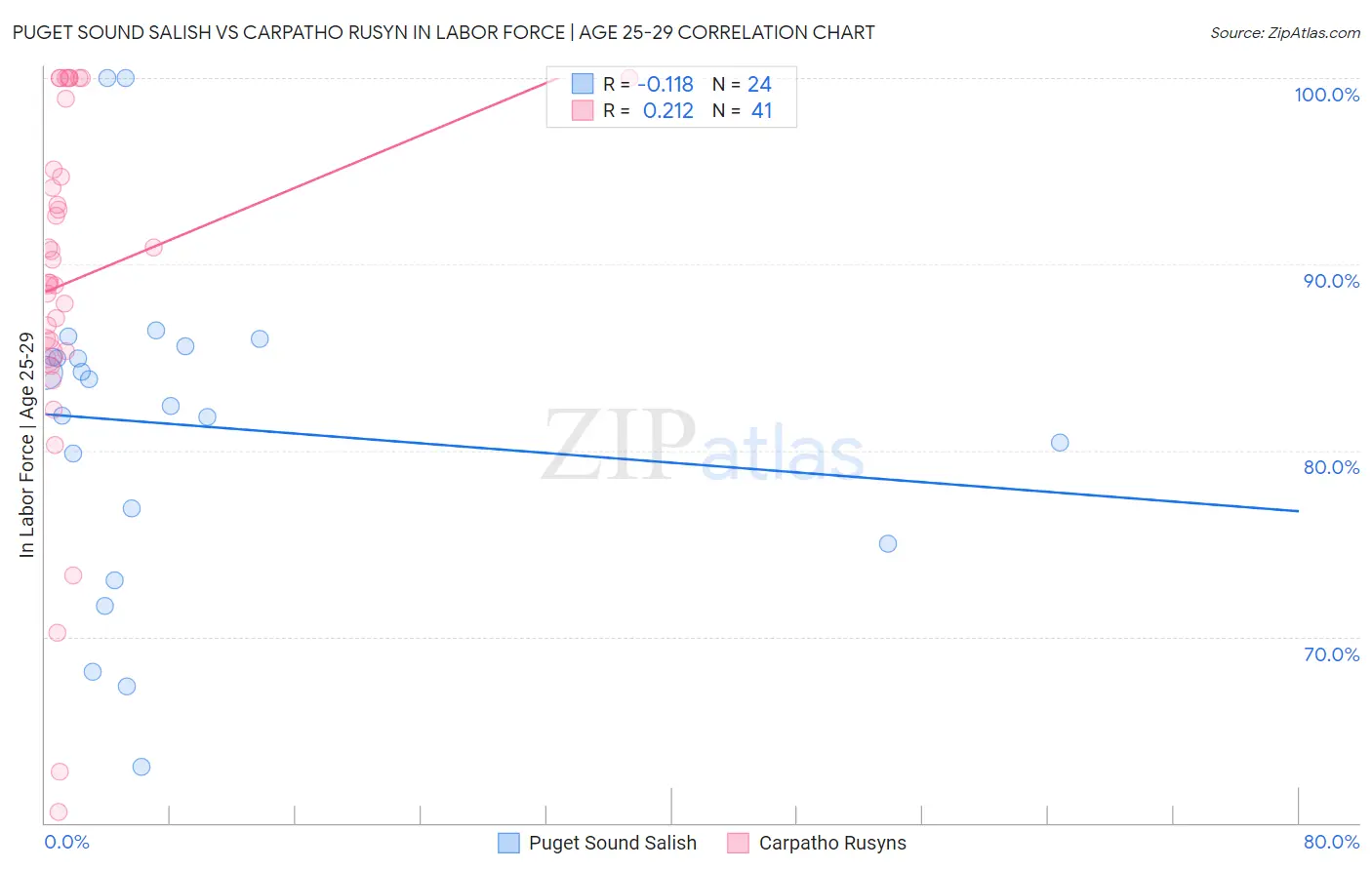 Puget Sound Salish vs Carpatho Rusyn In Labor Force | Age 25-29