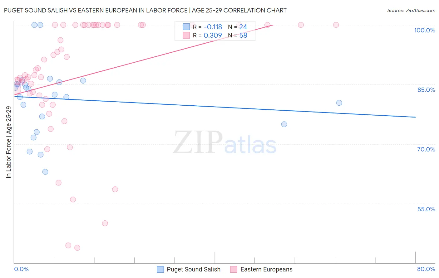 Puget Sound Salish vs Eastern European In Labor Force | Age 25-29