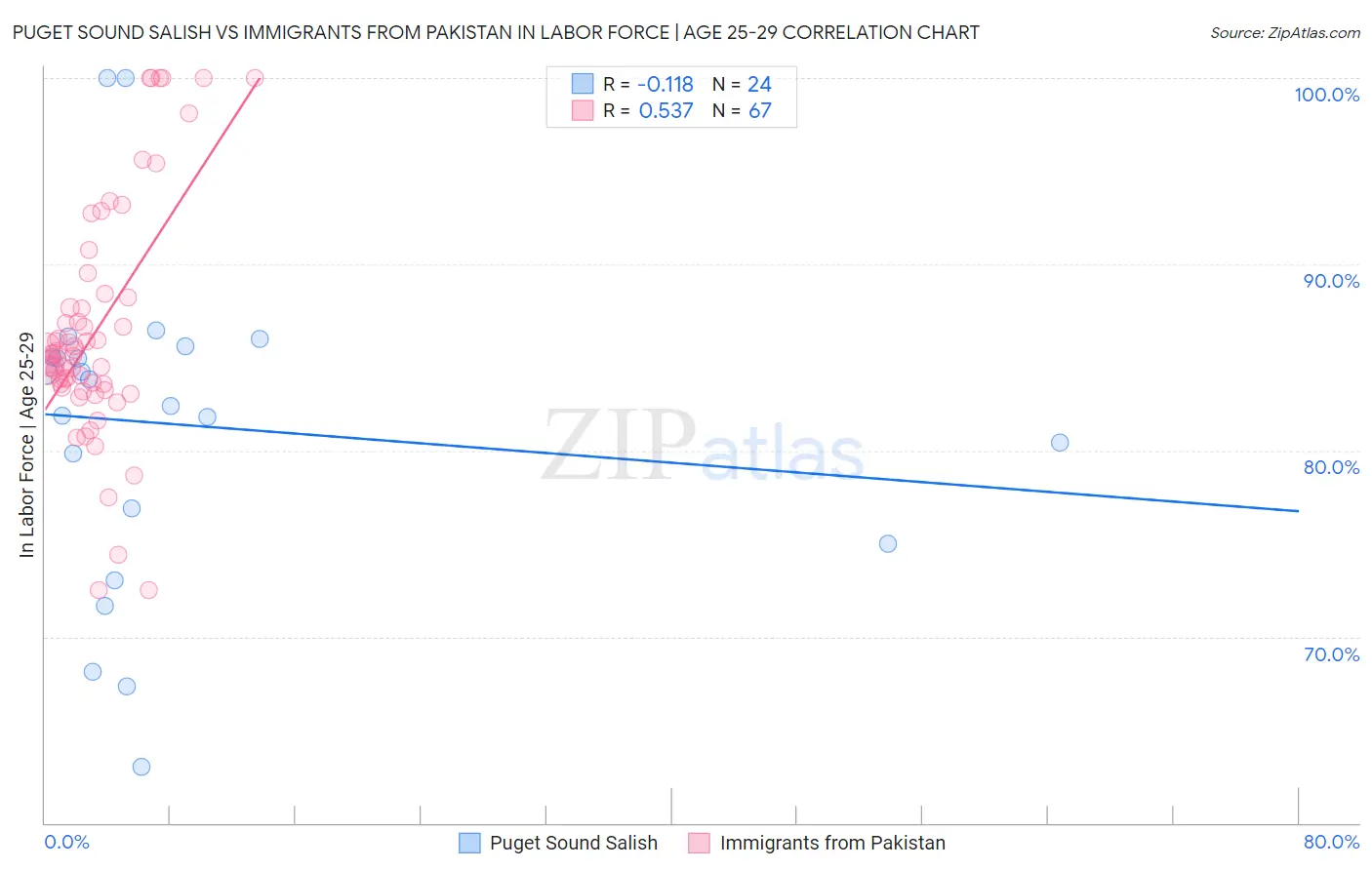 Puget Sound Salish vs Immigrants from Pakistan In Labor Force | Age 25-29