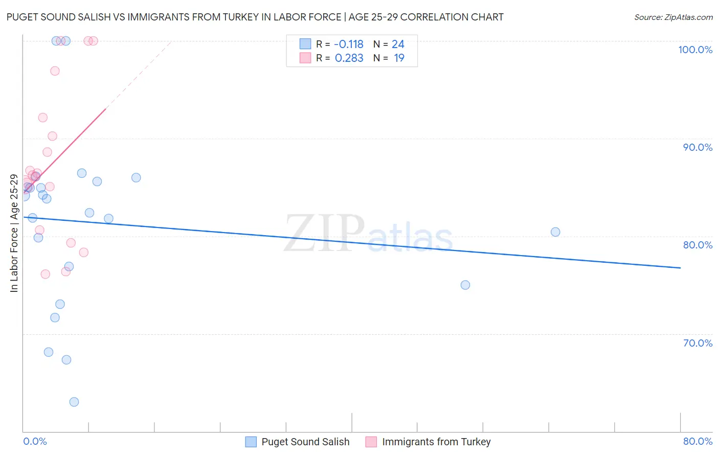Puget Sound Salish vs Immigrants from Turkey In Labor Force | Age 25-29