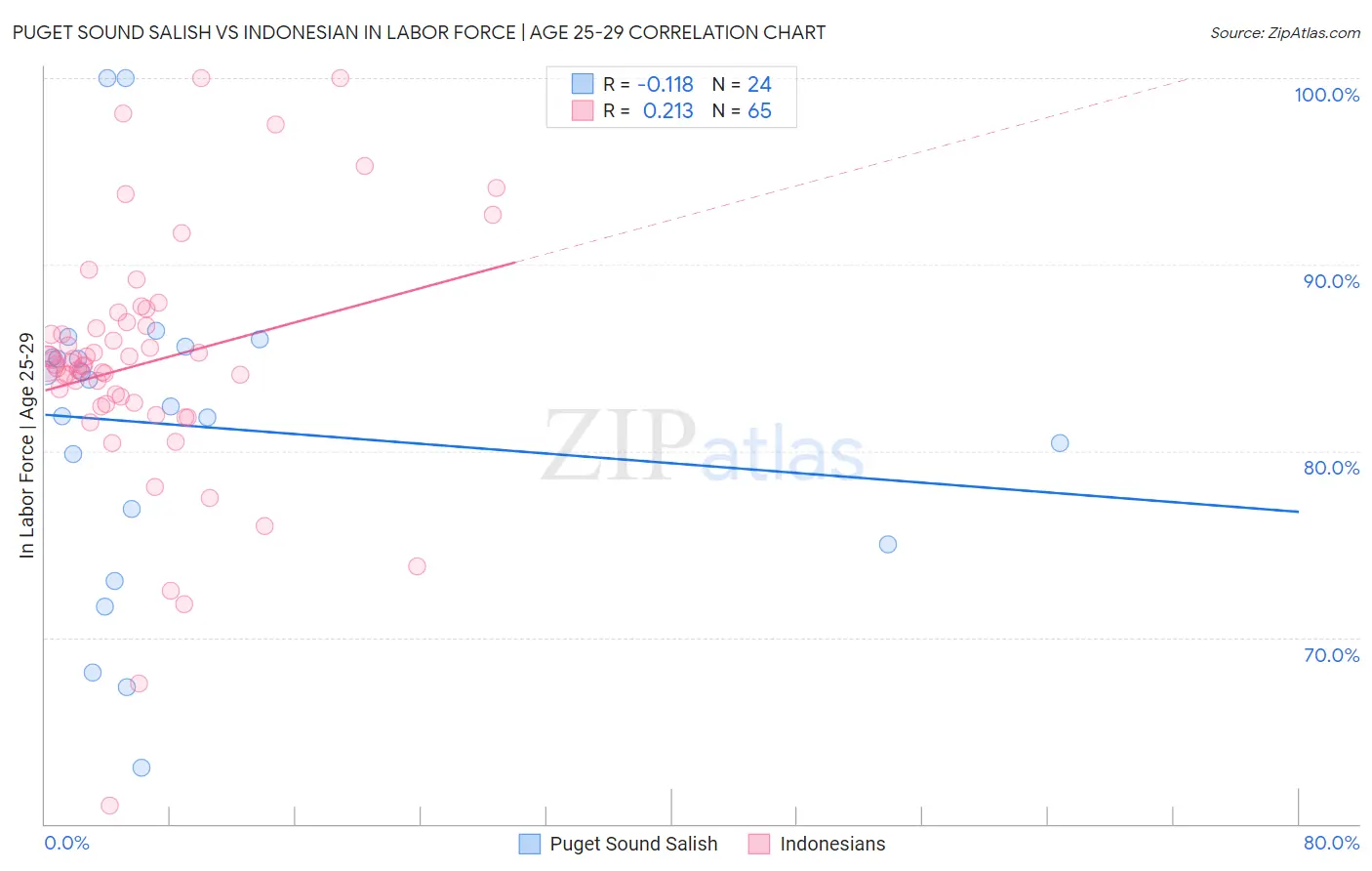 Puget Sound Salish vs Indonesian In Labor Force | Age 25-29