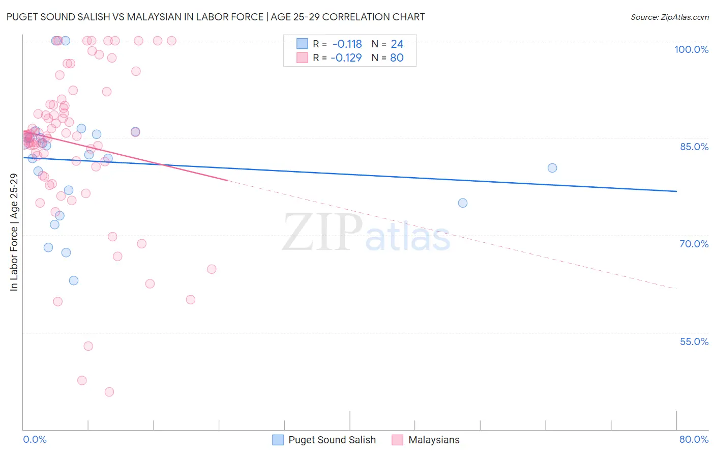 Puget Sound Salish vs Malaysian In Labor Force | Age 25-29