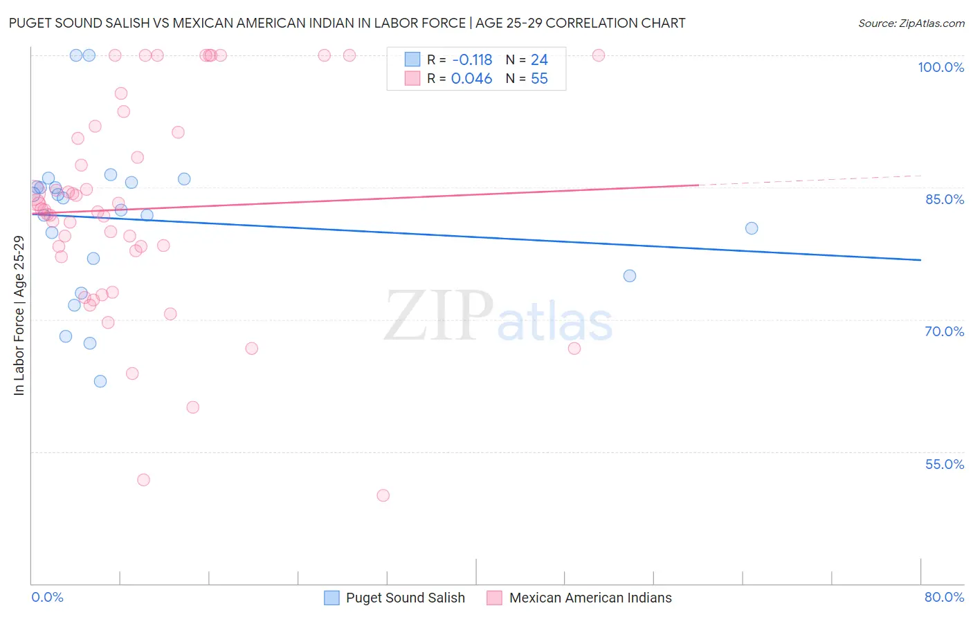 Puget Sound Salish vs Mexican American Indian In Labor Force | Age 25-29
