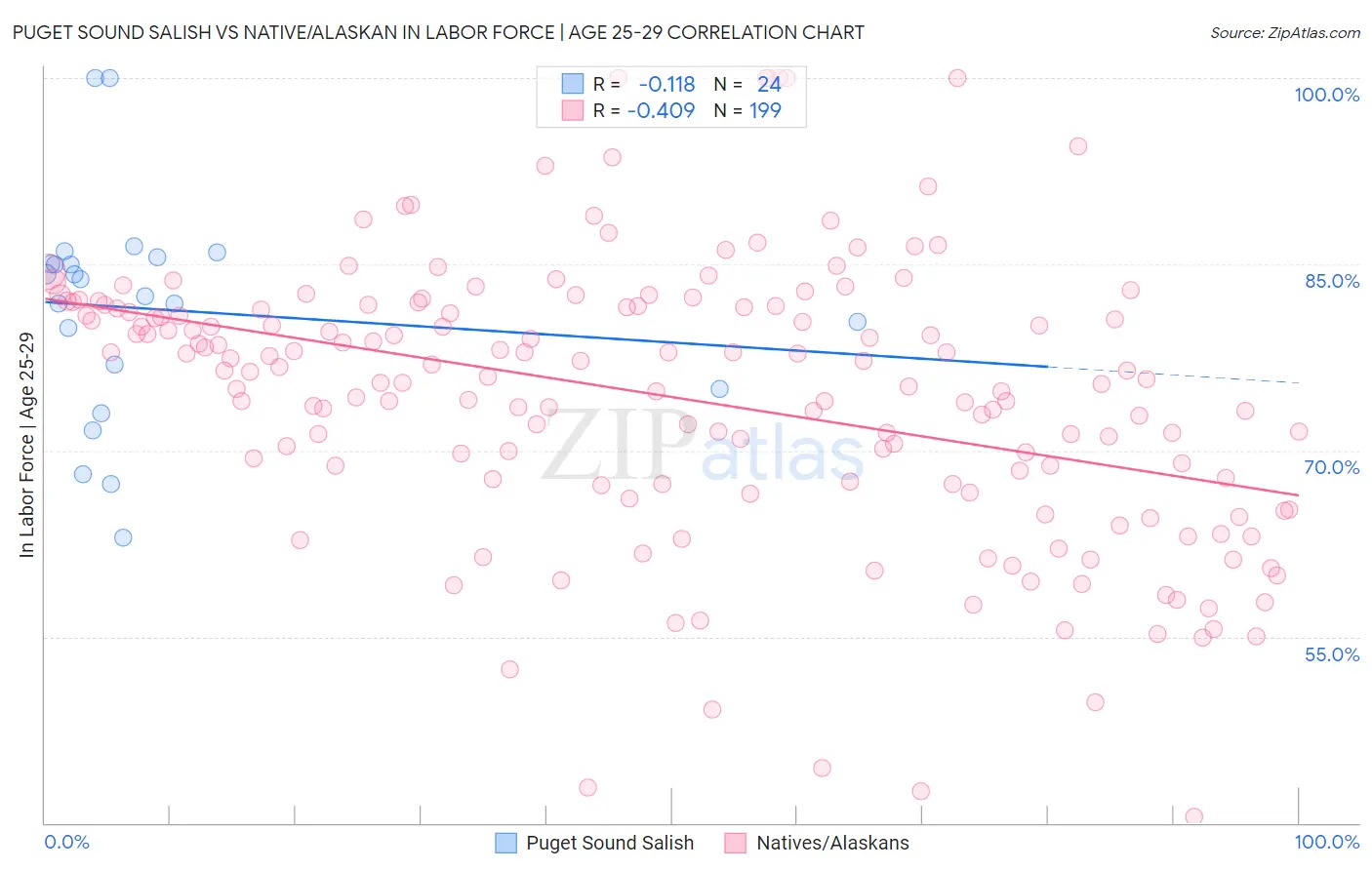 Puget Sound Salish vs Native/Alaskan In Labor Force | Age 25-29