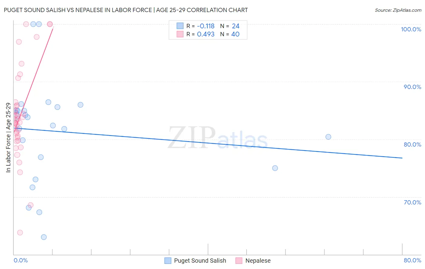 Puget Sound Salish vs Nepalese In Labor Force | Age 25-29