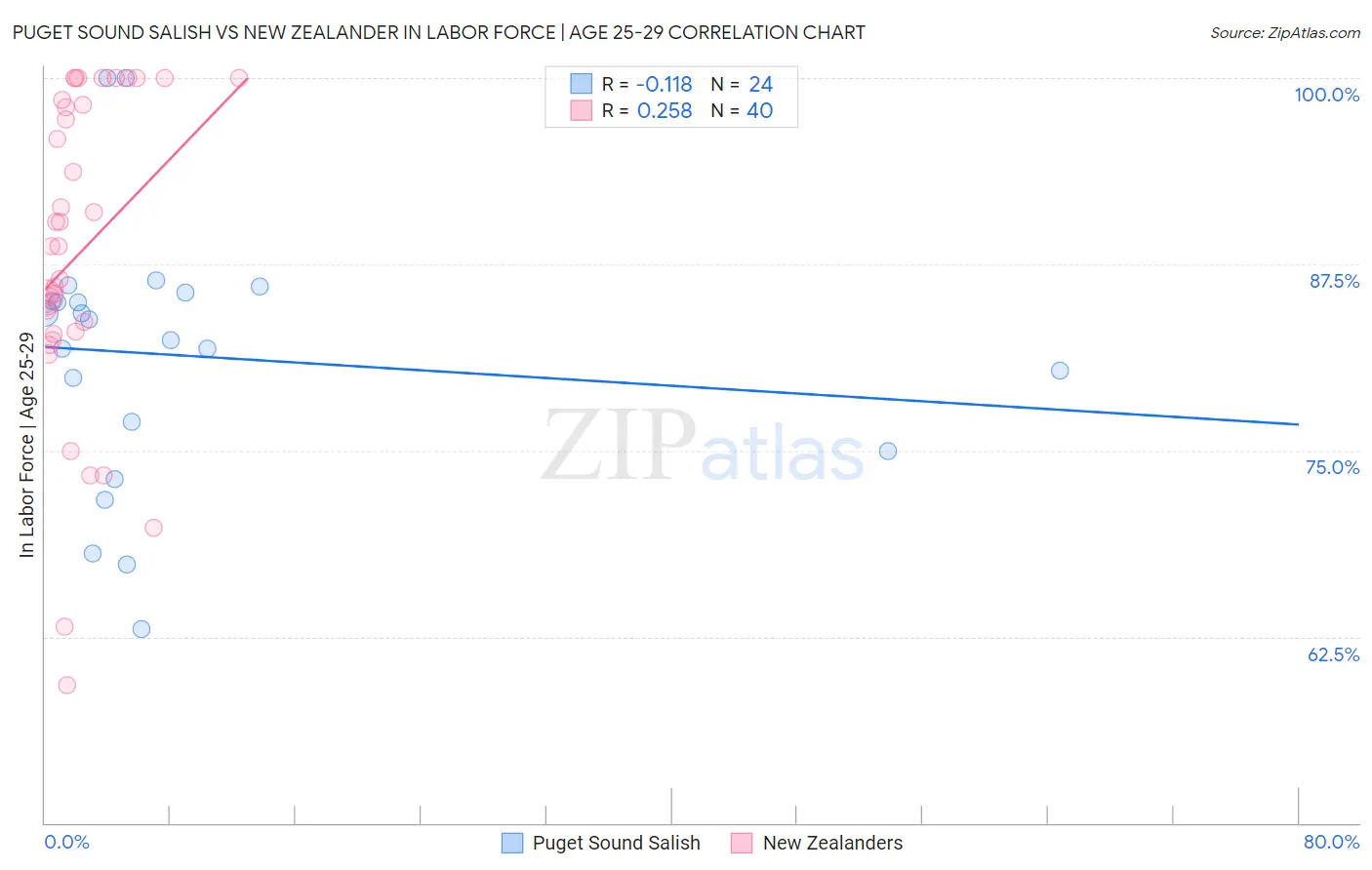 Puget Sound Salish vs New Zealander In Labor Force | Age 25-29