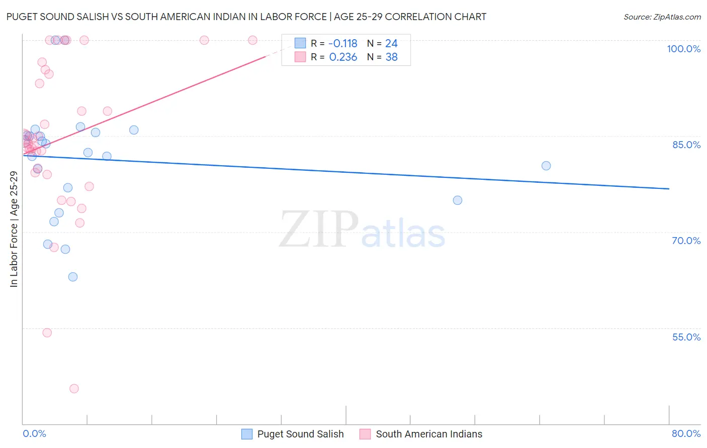 Puget Sound Salish vs South American Indian In Labor Force | Age 25-29