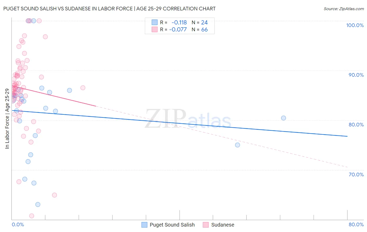 Puget Sound Salish vs Sudanese In Labor Force | Age 25-29