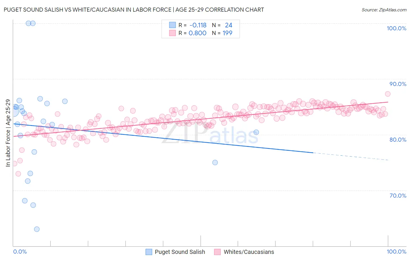Puget Sound Salish vs White/Caucasian In Labor Force | Age 25-29