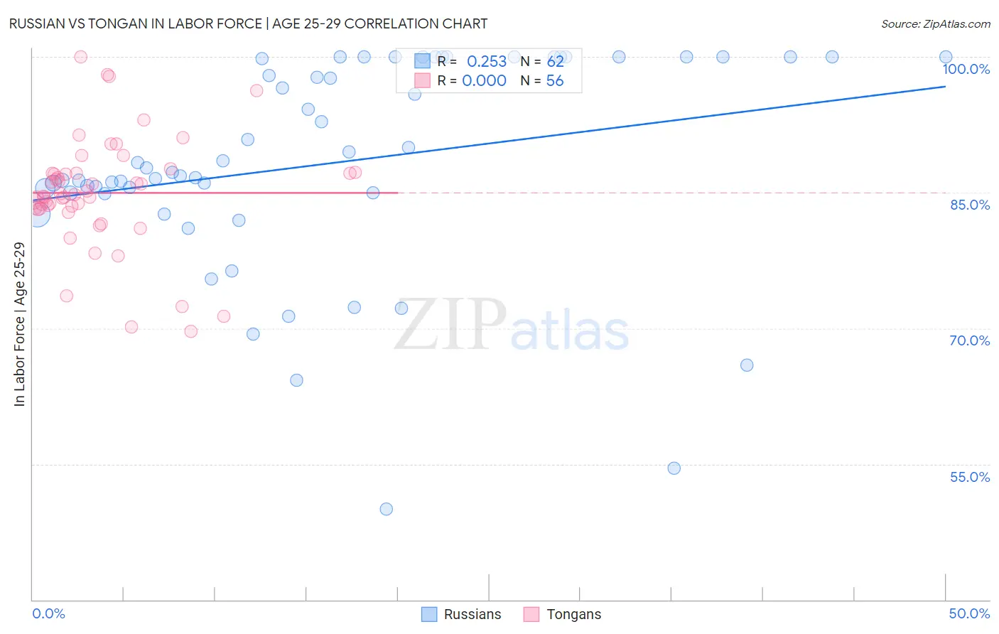 Russian vs Tongan In Labor Force | Age 25-29