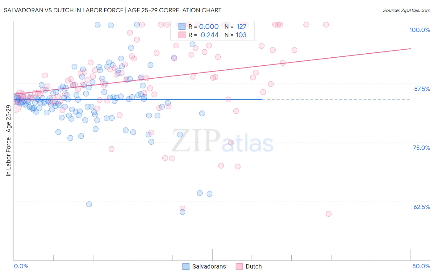 Salvadoran vs Dutch In Labor Force | Age 25-29