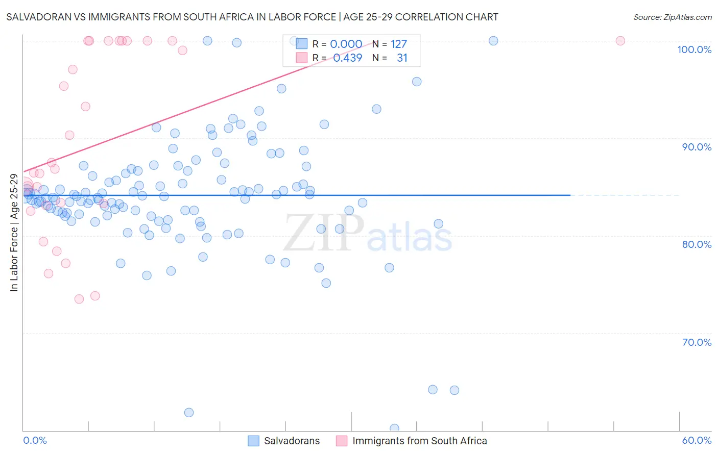 Salvadoran vs Immigrants from South Africa In Labor Force | Age 25-29