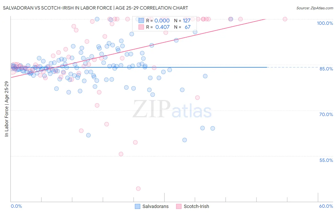 Salvadoran vs Scotch-Irish In Labor Force | Age 25-29