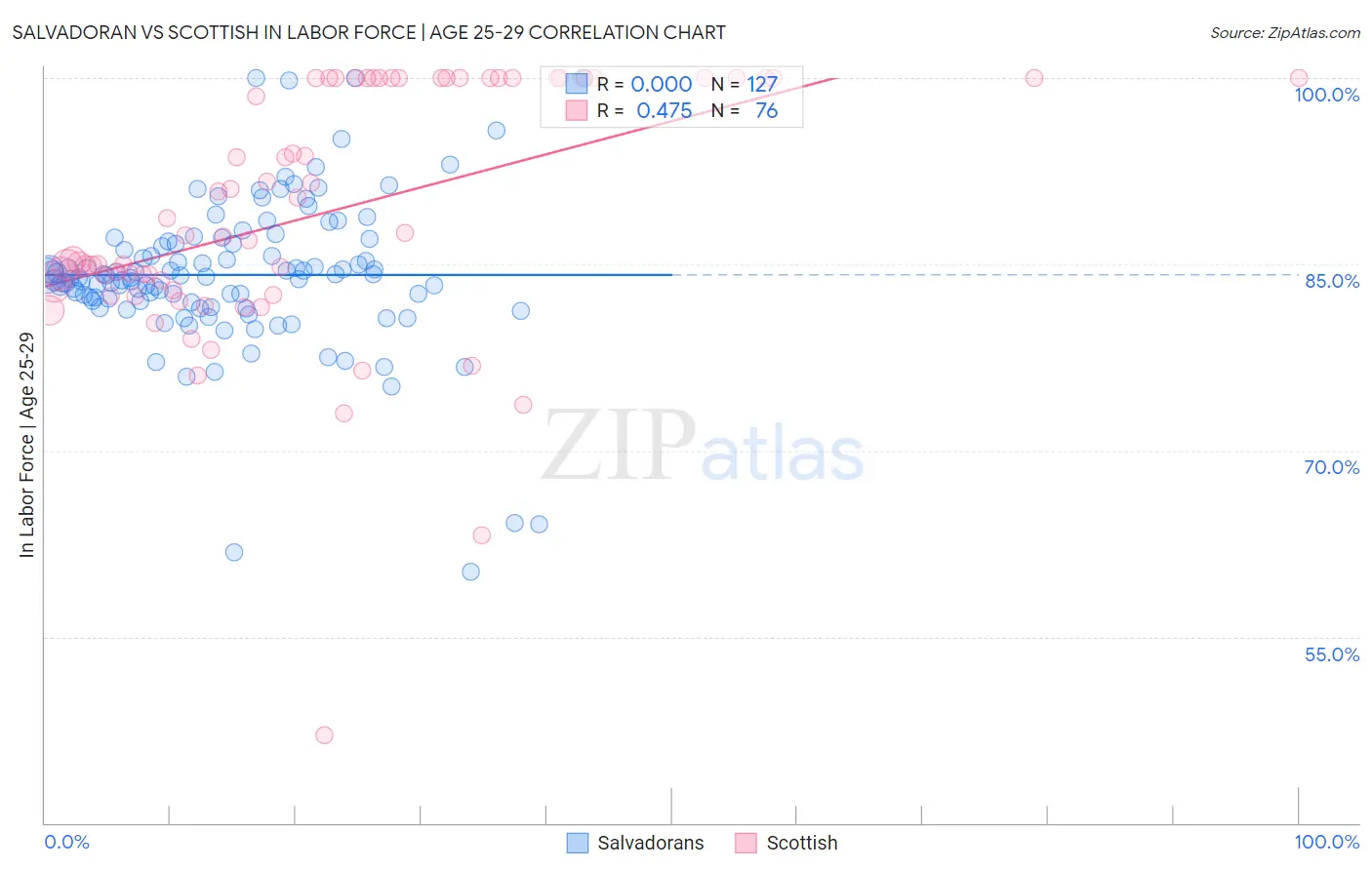 Salvadoran vs Scottish In Labor Force | Age 25-29
