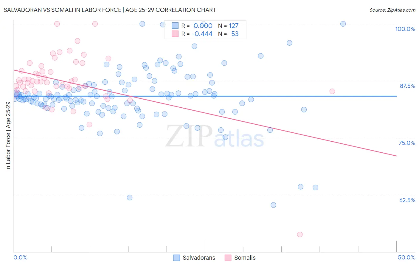 Salvadoran vs Somali In Labor Force | Age 25-29