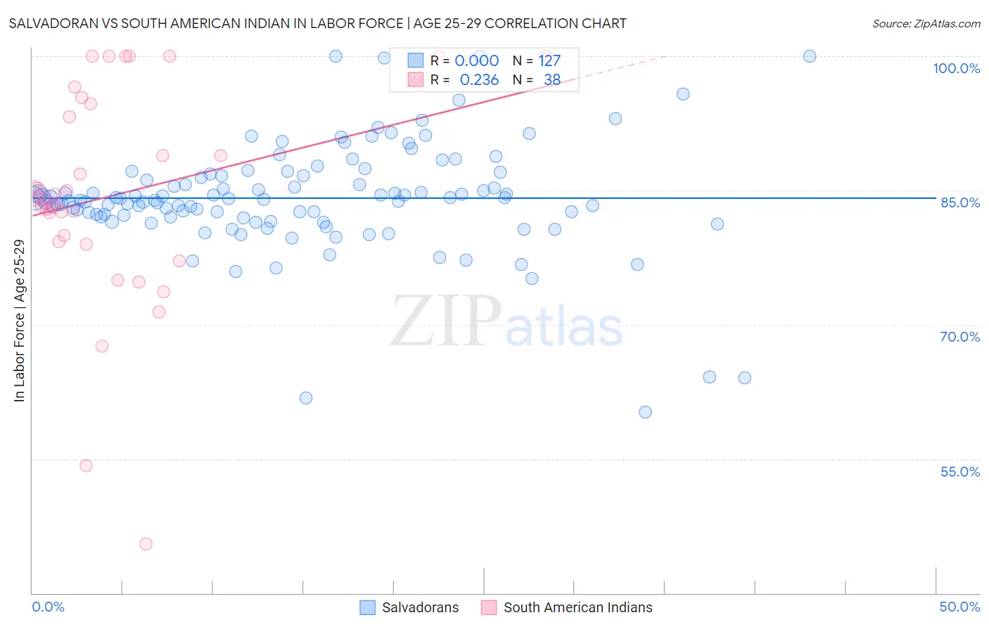 Salvadoran vs South American Indian In Labor Force | Age 25-29