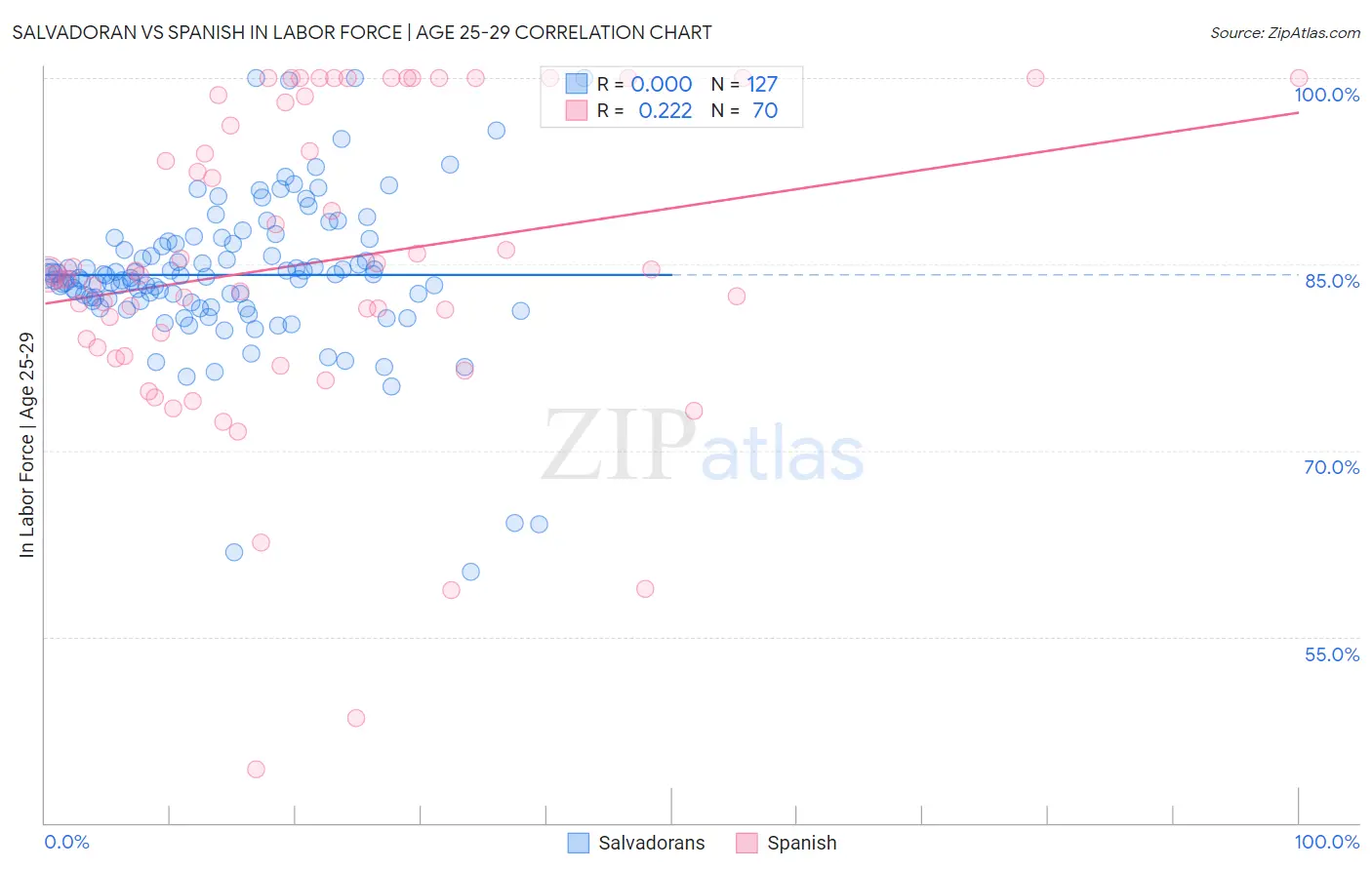 Salvadoran vs Spanish In Labor Force | Age 25-29
