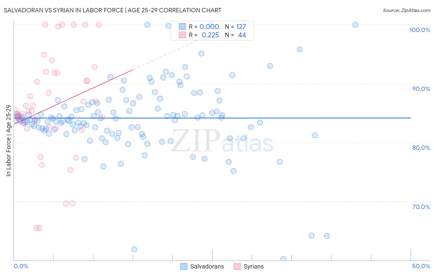 Salvadoran vs Syrian In Labor Force | Age 25-29
