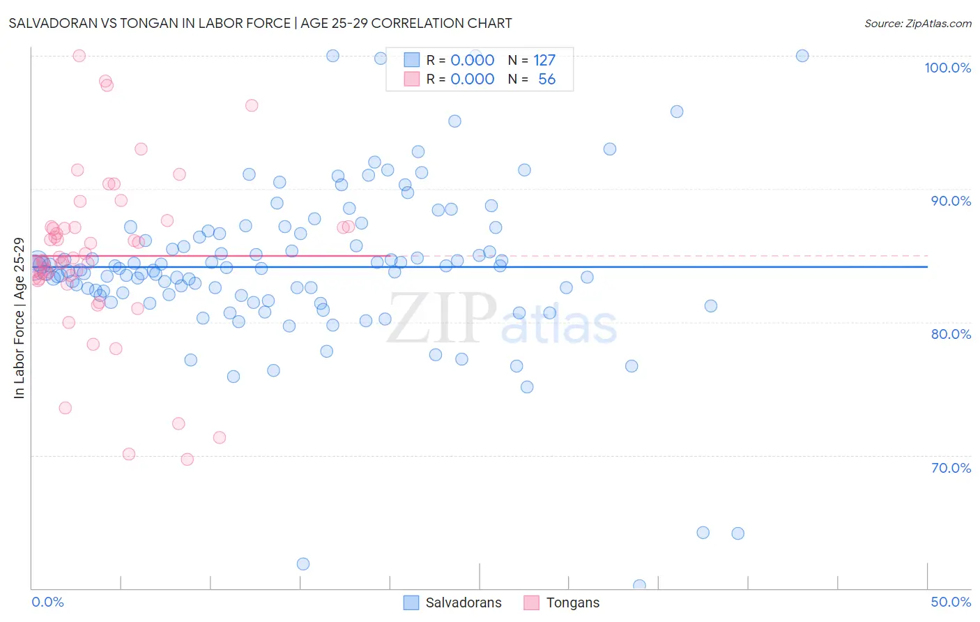 Salvadoran vs Tongan In Labor Force | Age 25-29