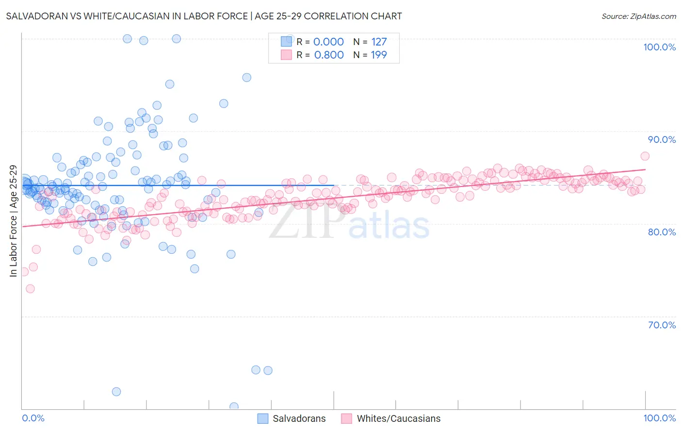 Salvadoran vs White/Caucasian In Labor Force | Age 25-29