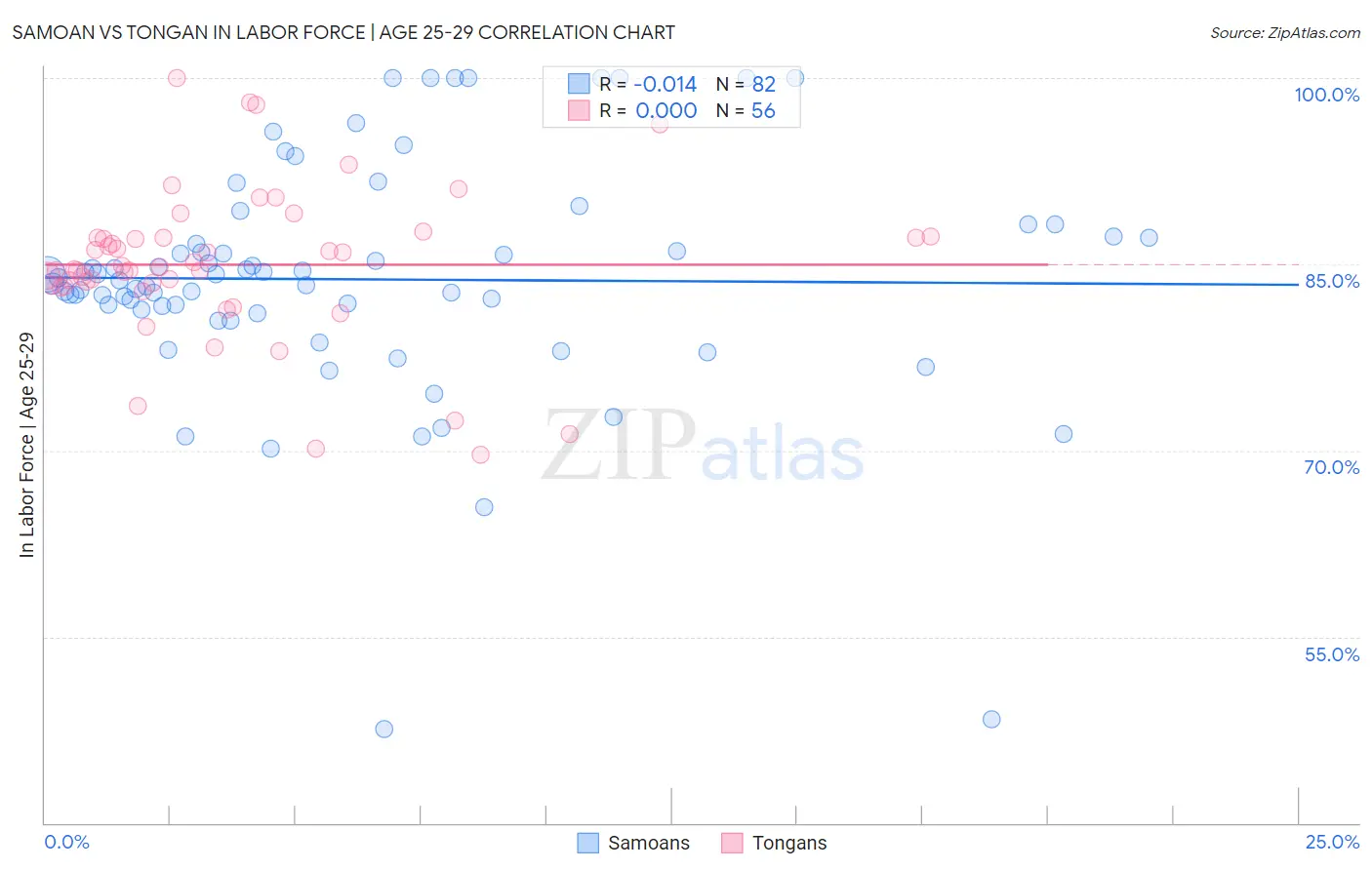 Samoan vs Tongan In Labor Force | Age 25-29